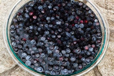 rehydrating dried blueberries